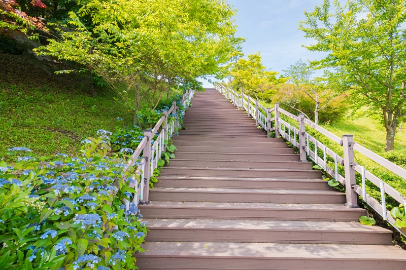제주 별빛누리공원3