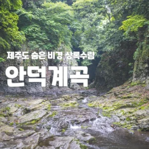 안덕계곡
