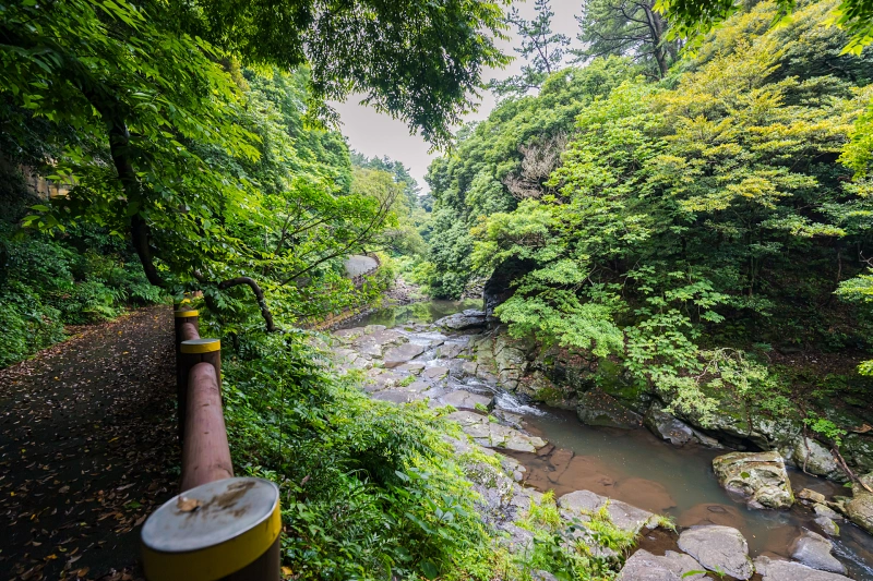 계곡 산책로