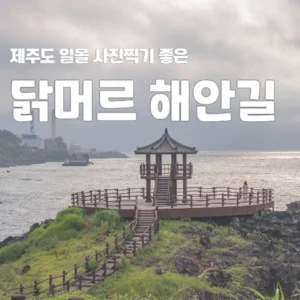 닭머르 해안길