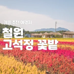 고석정 꽃밭