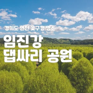 임진강 댑싸리 공원