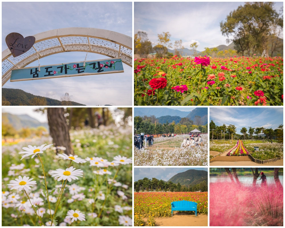 2023 Colorful Garden 자라섬 꽃 페스타 (가을) 9 자라섬 꽃 페스타 풍경