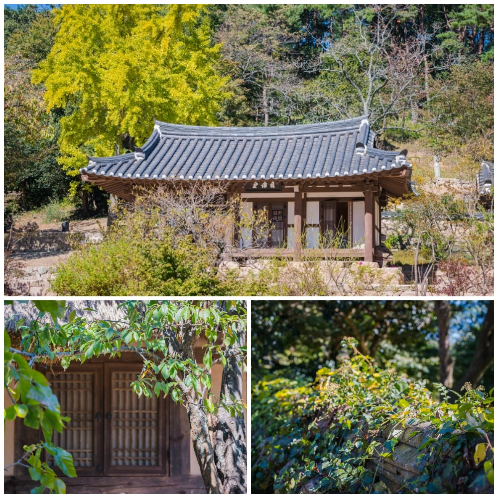 전남 강진 월출산 비밀정원 백운동 원림 10 백운동 별서 정원