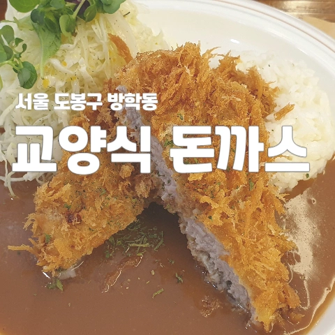 방학동 교양식 돈까스