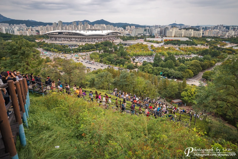 2023 서울정원박람회 하늘공원 서울억새축제 3 하늘계단