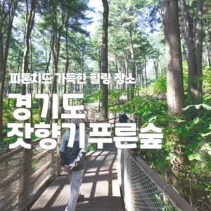 경기도잣향기푸른숲