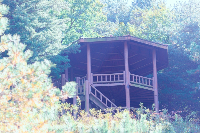 이제는 웃고 넘는 박달재 16 박달재 전망대