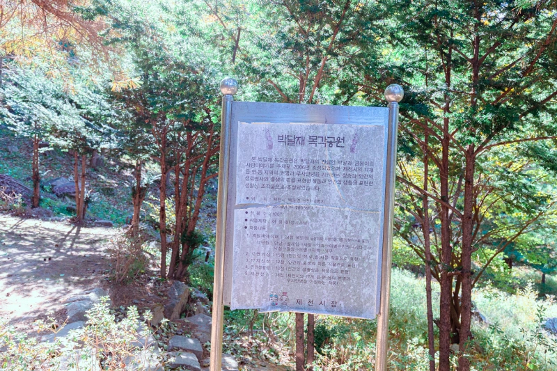 박달재 목각공원