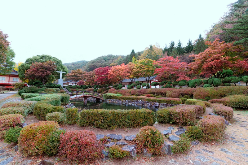 배론성지 연못2