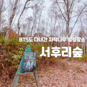 BTS 힐링장소 서후리숲