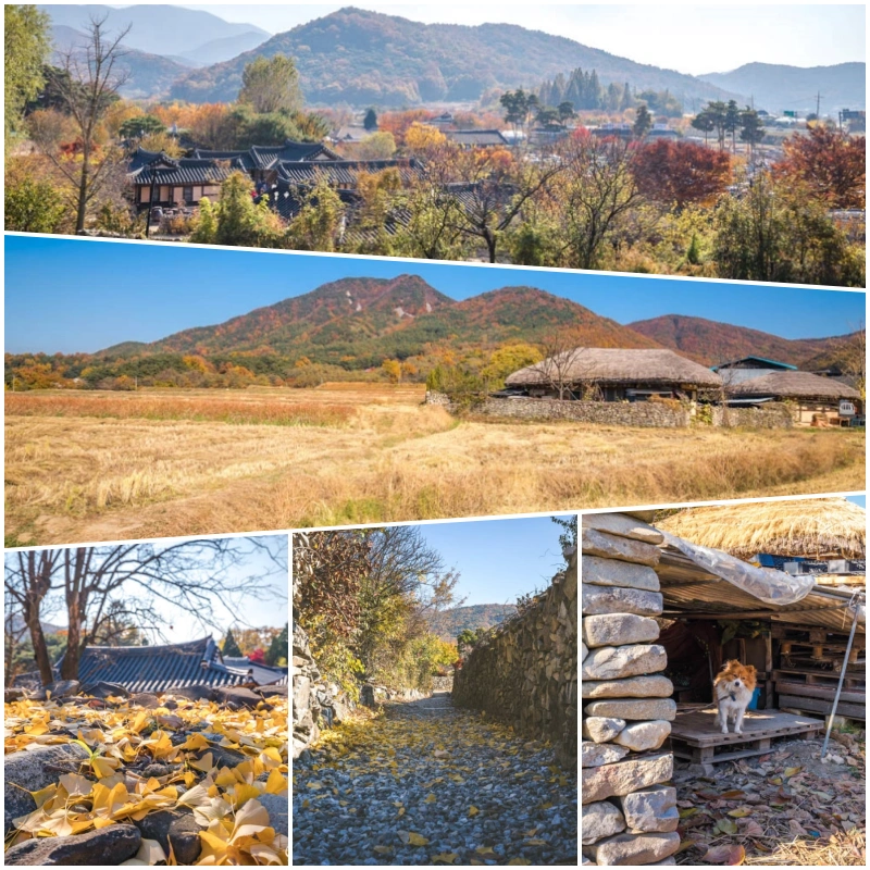 충남 아산 외암민속마을 5 collage2 1