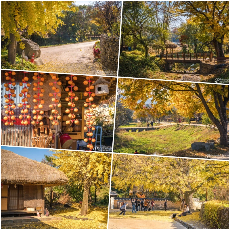 충남 아산 외암민속마을 6 collage3 1