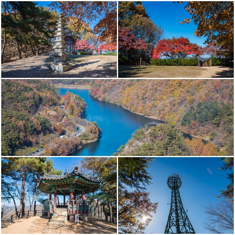 이국적 정취 메타세쿼이아 숲 장태산 자연휴양림 7 장태산자연휴양림 전망대