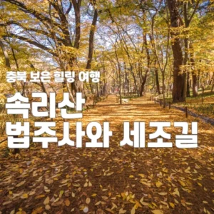 힐링여행 속리산 법주사 세조길