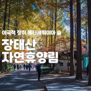 메타세쿼이아 숲 장태산 자연휴양림