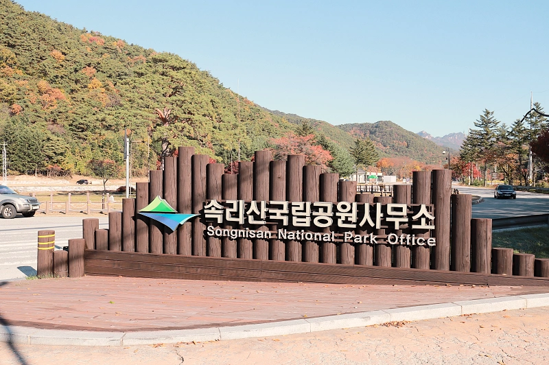 충북 보은 속리 천연기념물 정이품송 6 속리산국립공원