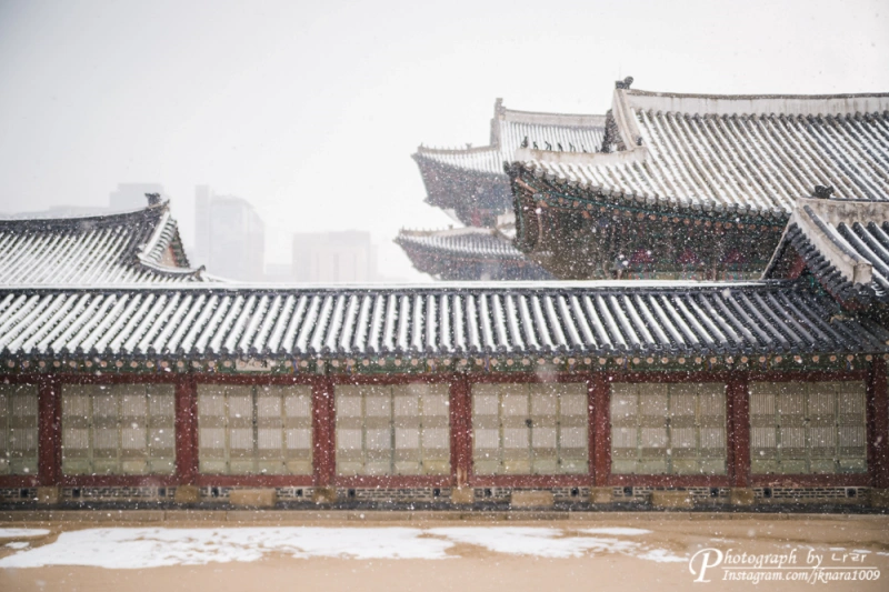 겨울 눈내리는 날에 가보면 좋을 서울 경복궁 10 경복궁44