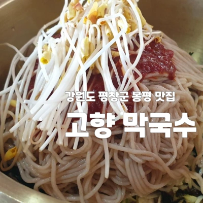 봉평 맛집 고향막국수