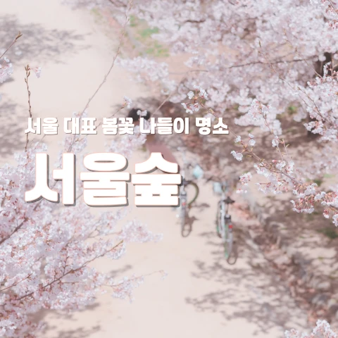 봄나들이 명소 서울숲