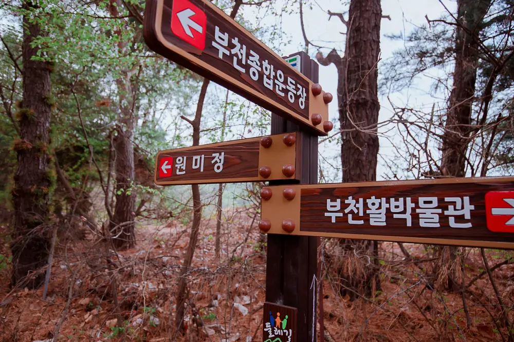 부천 원미산 진달래동산, 온세상이 분홍색 빛! 13 진달래동산 0333