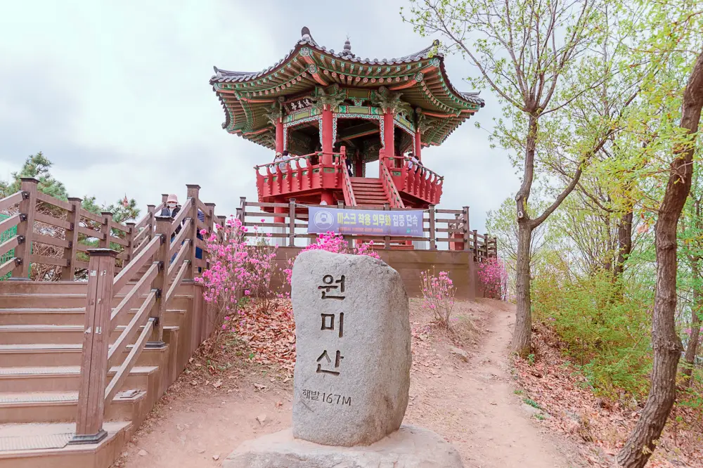 부천 원미산 진달래동산, 온세상이 분홍색 빛! 19 진달래동산 0474