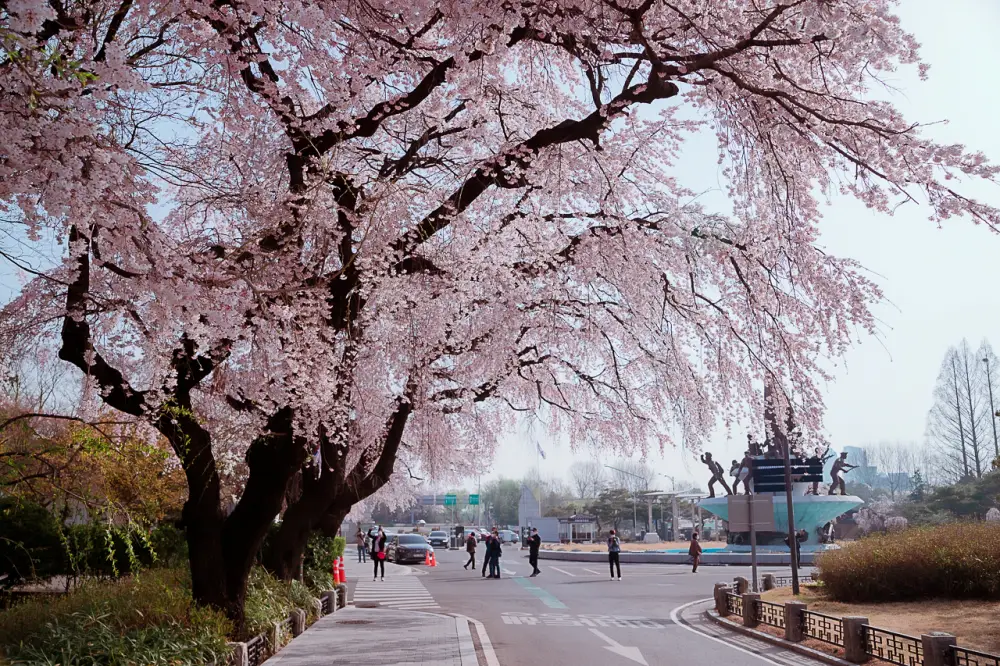 서울국립현충원 9620