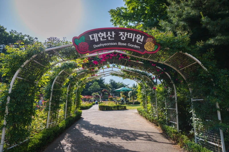 Daehyeonsan Rose Garden26