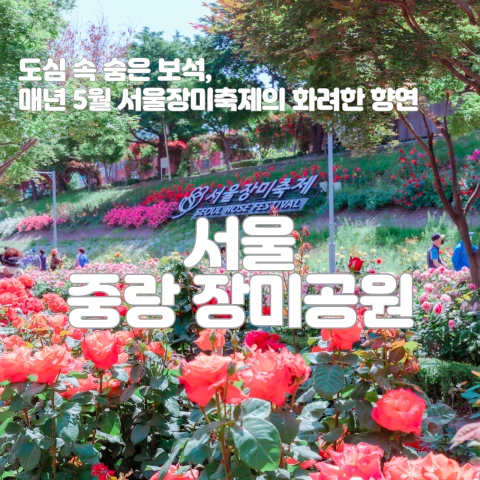서울 중랑 장미공원
