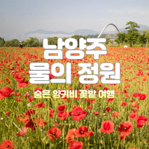 남양주 물의 정원