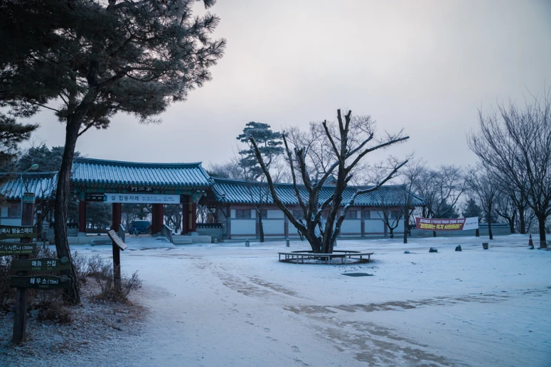 겨울의 신비, 상고대가 빚은 천년 고찰 여주 신륵사 4 Silleuksa53