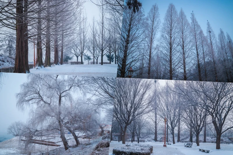 겨울의 신비, 상고대가 빚은 천년 고찰 여주 신륵사 3 collage