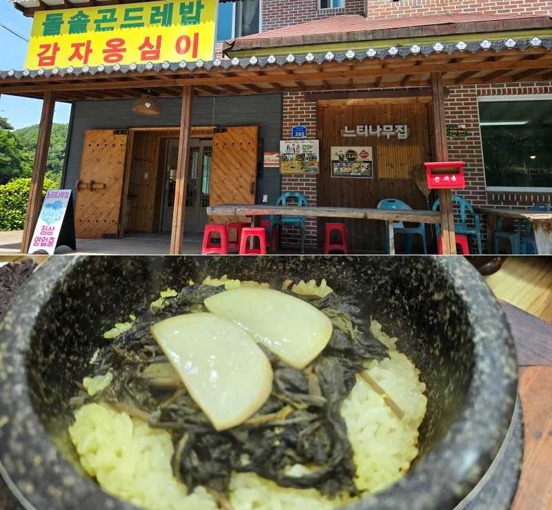 홍천 수타사 불두화: 천년고찰에서 만나는 순백의 꽃 터널 19 20250605 133141 down