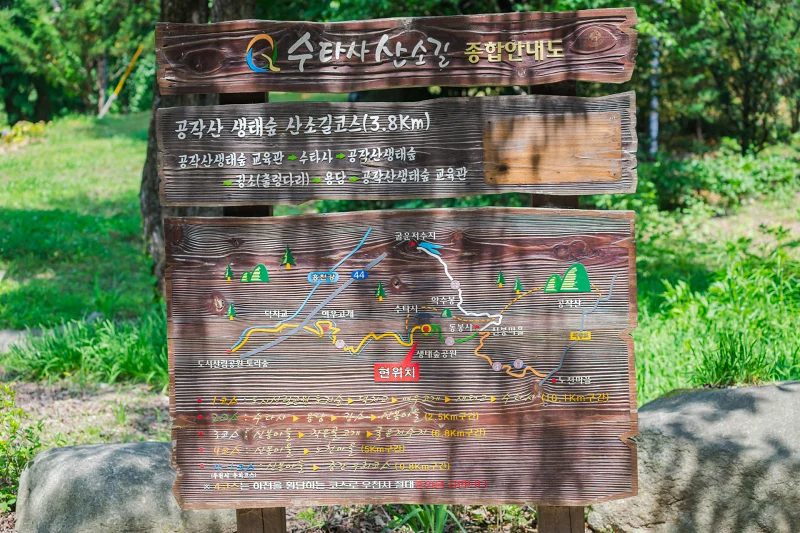 홍천 수타사 불두화: 천년고찰에서 만나는 순백의 꽃 터널 18 Snowball Tree03