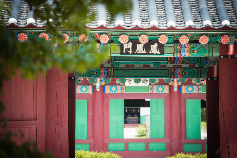 홍천 수타사 불두화: 천년고찰에서 만나는 순백의 꽃 터널 16 Snowball Tree07