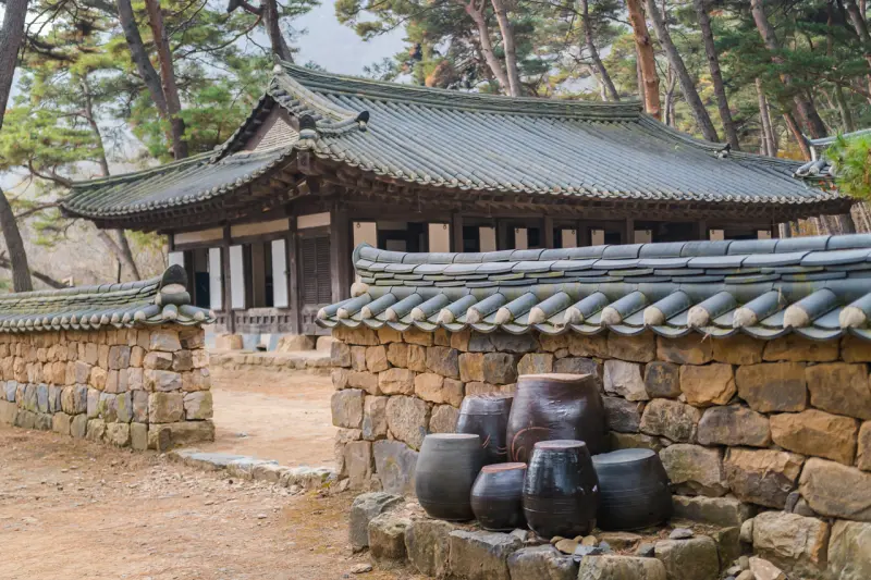 강원도 영월 가볼만한곳: 영화 '왕과 사는 남자' 촬영지 청령포 여행 코스 (주차, 입장료) 12 Cheongnyeongpo107