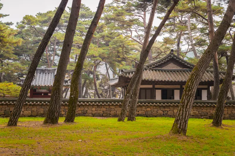 강원도 영월 가볼만한곳: 영화 '왕과 사는 남자' 촬영지 청령포 여행 코스 (주차, 입장료) 4 Cheongnyeongpo65
