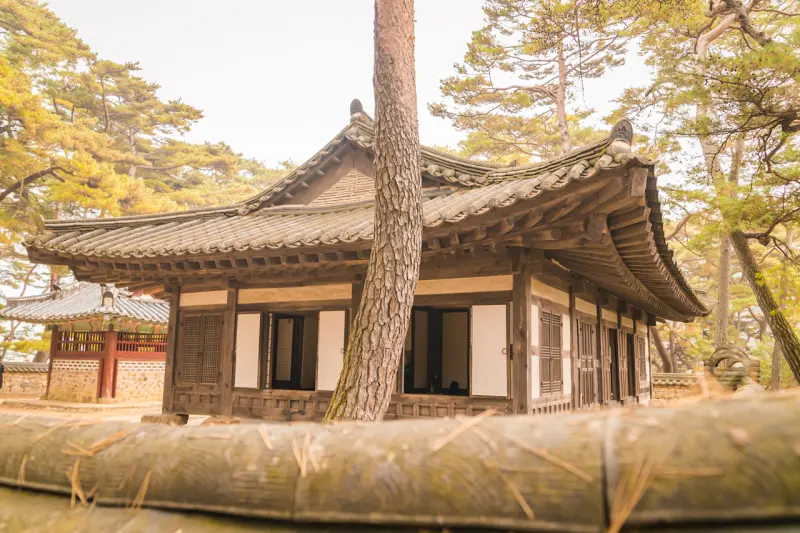 강원도 영월 가볼만한곳: 영화 '왕과 사는 남자' 촬영지 청령포 여행 코스 (주차, 입장료) 5 Cheongnyeongpo69