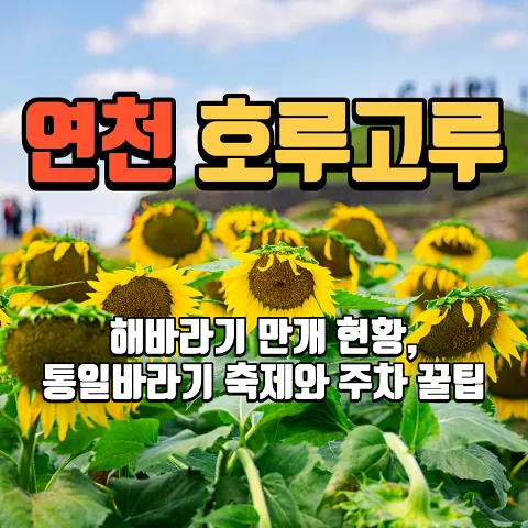 연천 호루고루