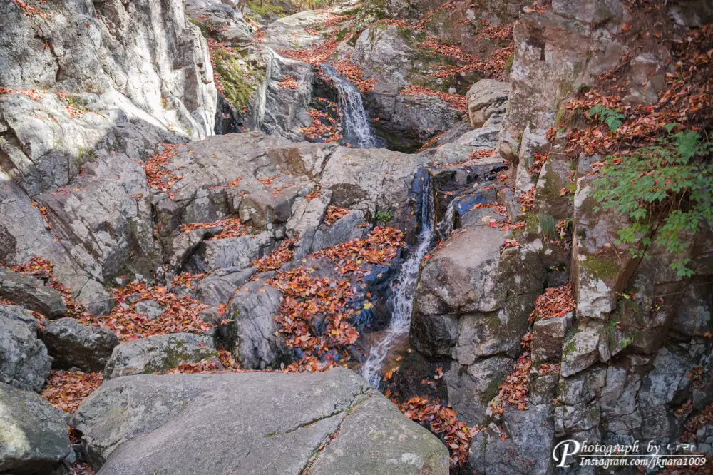 Chiaksan National Park autumn leaves12