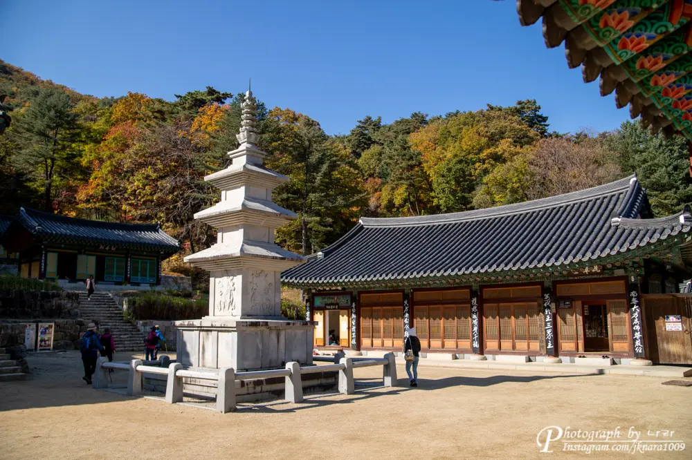 Chiaksan National Park autumn leaves13