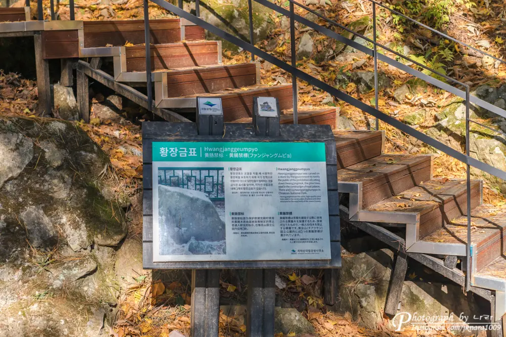Chiaksan National Park autumn leaves2