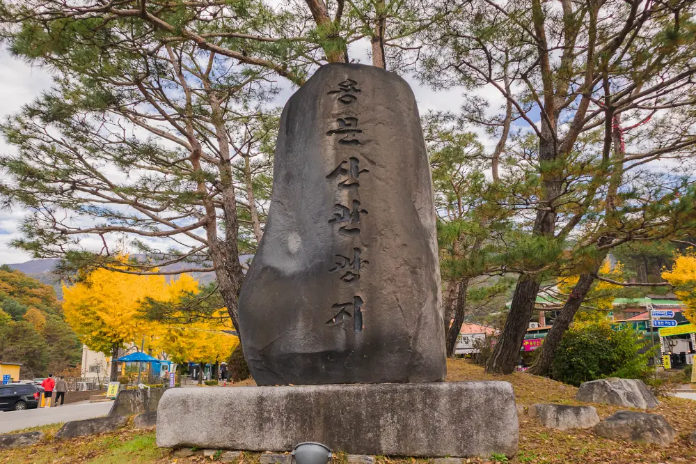 용문사 은행나무 yangpyeong yongmunsa temple autumn1