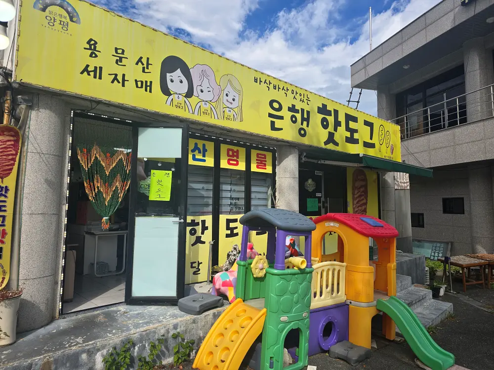 용문사 은행나무 yangpyeong yongmunsa temple autumn10